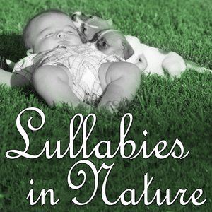 Lullabies in Nature: Sleeping in the Magic Forest (For Baby Sleep and Relax, Favorite Lullabies and Nature's Sounds, the Best Relaxing Music)