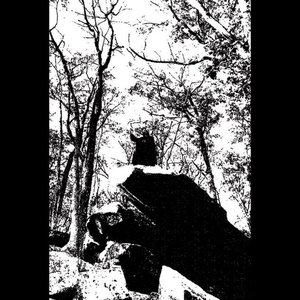 Elevation Within the Mists of Naaltrah