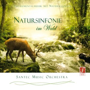 Symphony of Nature in the Forest (Natursinfonie im Wald) (Stimulating Feel-Good Music and Sounds of Nature)