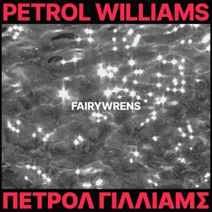Fairywrens [Explicit]