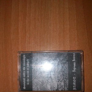 Jamot 的头像