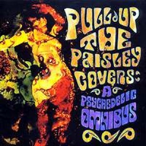 Imagem de 'Pull Up The Paisley Covers: A Psychedelic Omnibus'