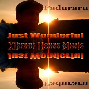 Just Wonderful (Vibrant Housemusic)