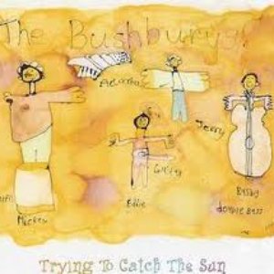 Trying To Catch The Sun