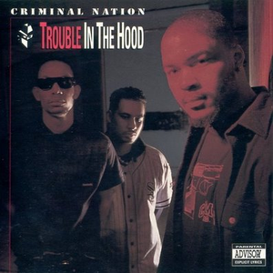 Trouble in the Hood cover