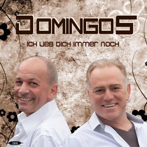 Image for 'Domingos'