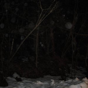 Dark Fog Eruption 的头像