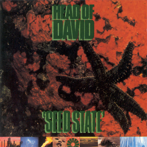 Seed State cover