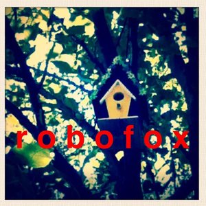 Image for 'r o b o f o x'