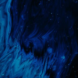 Avatar for Antonio Mardini