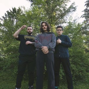 Avatar di Second Harbour