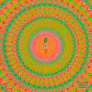 Trip