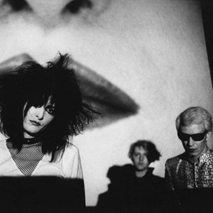 Siouxsie and the Banshees 的头像