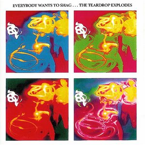 Everybody Wants to Shag...The Teardrop Explodes