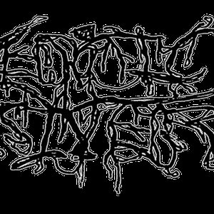 Avatar for Necrotic Disintegrate