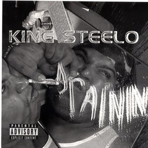 “king steelo”的封面