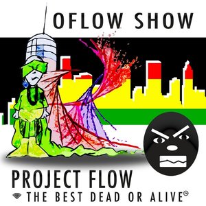 Project Flow