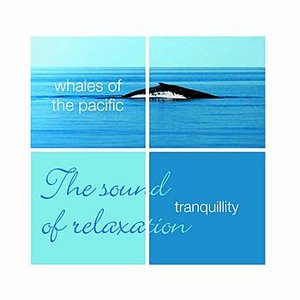 Tranquillity- Whales Of The Pacific