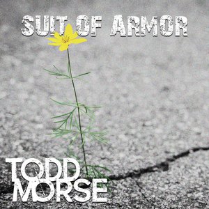 Suit of Armor - Single