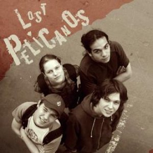 Lost Pelicanos 的头像