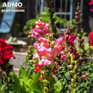 Be My Garden