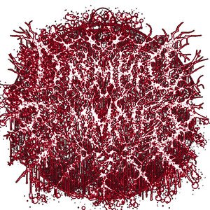 RANCID MIST
