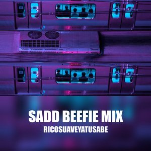 Sadd Beefie Mix