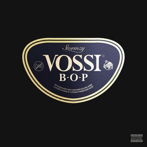 Image for 'Vossi Bop'