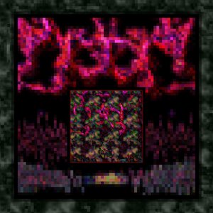 Root Hold Nerve Vision