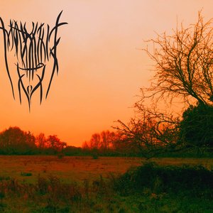 Mourning Fog 的头像