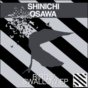 Birds / Swallow EP