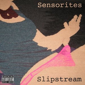 Image for 'Slipstream'