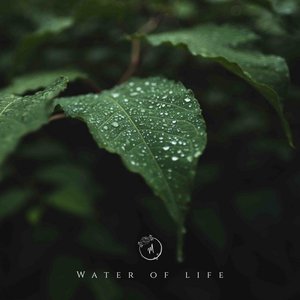 Water of Life