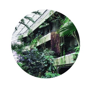 Similar Steps EP