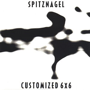Customized 6x6