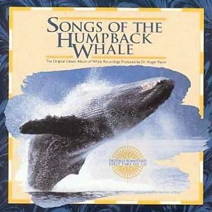Humpback Whale 的头像