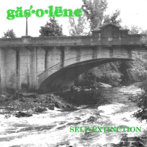 Gasolene 的头像