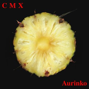 Ainomieli — CMX | Last.fm