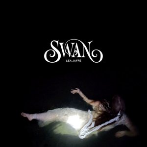 Swan