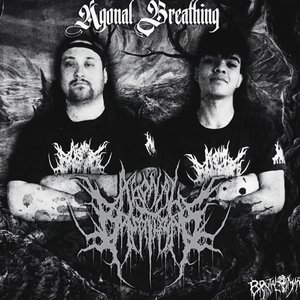Agonal Breathing 的头像