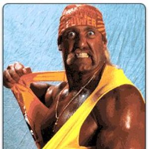 Hulk Hogan のアバター