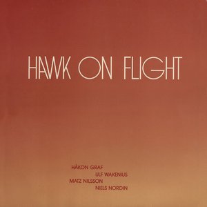 Hawk On Flight