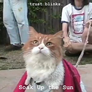 Soak Up The Sun