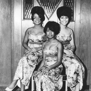 The Stylettes 的头像