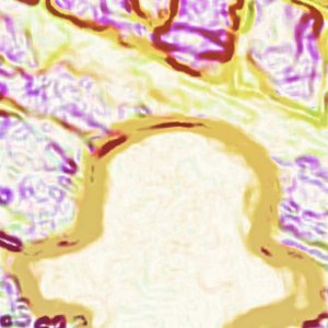 Avatar for Driveby & Roper Williams