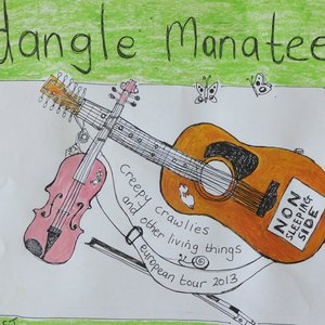 Image for 'Dangle Manatee'