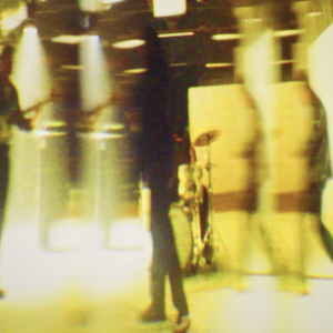 The Temper Trap - Into the Wild - Zortam Music