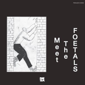 Meet The Foetals