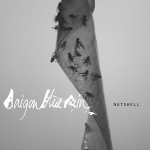 Nutshell - Single