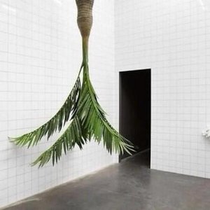 Tokyo 11 ポ​ジ​テ​ィ​ブ